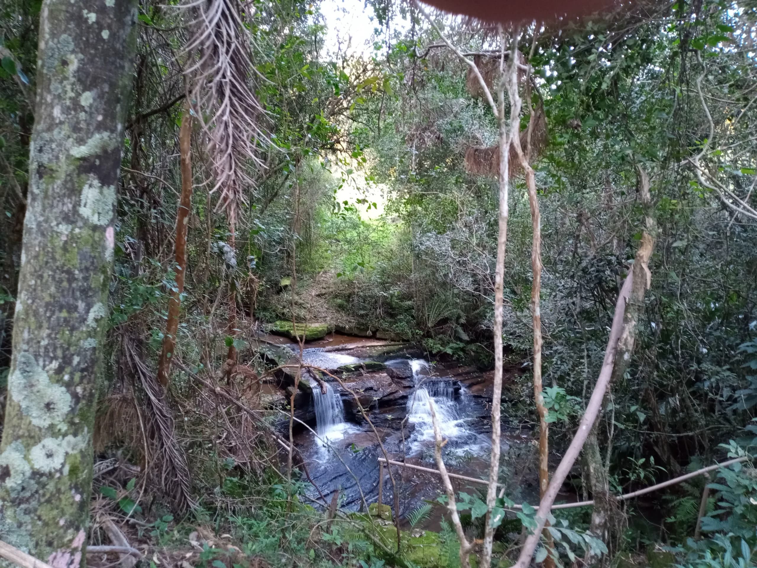 A espiritualidade guia aqueles que caminham com fé.